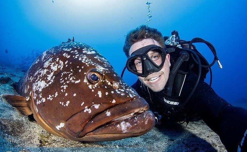 Diver exploring a vibrant coral reef in Madeira, showcasing colorful marine life