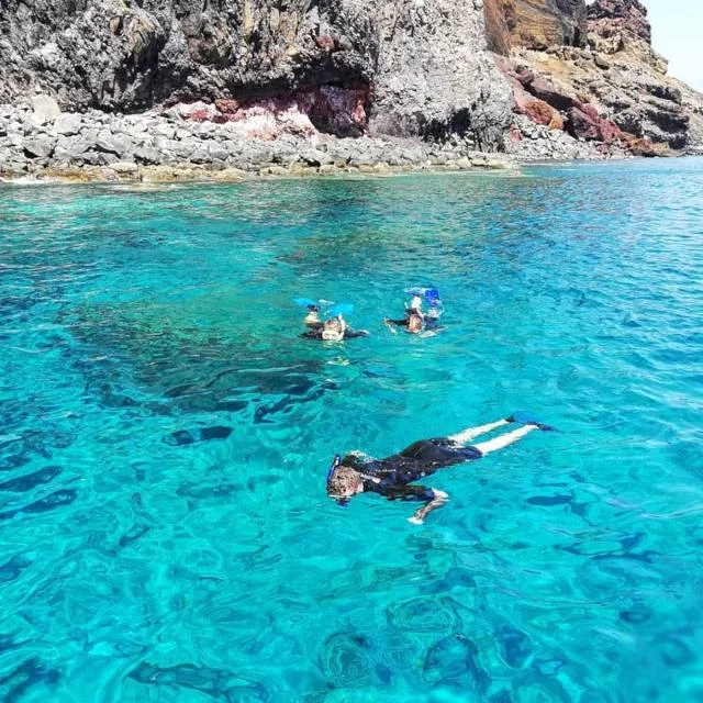 Diver exploring a vibrant coral reef in Madeira, showcasing colorful marine life